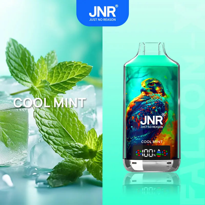 JNR 18000 Puffs Vape  Pen E Cigarette  24ml 950mAh  11 Flavors 18K Disposable Vape