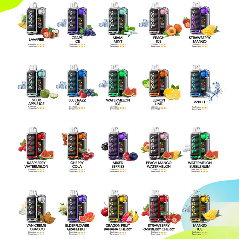 VOZOL VISTA 20000 Puffs Disposable (0% to 5% Nicotine) Vape  24ml  650mAh 20 Flavors Wholesale