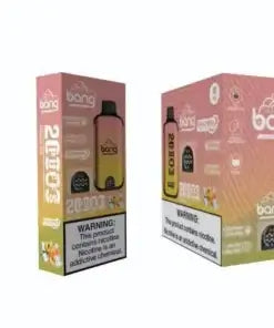 Bang disposable 20000 puff Wholesale 25 ML 650 mAh  12 Flavors
