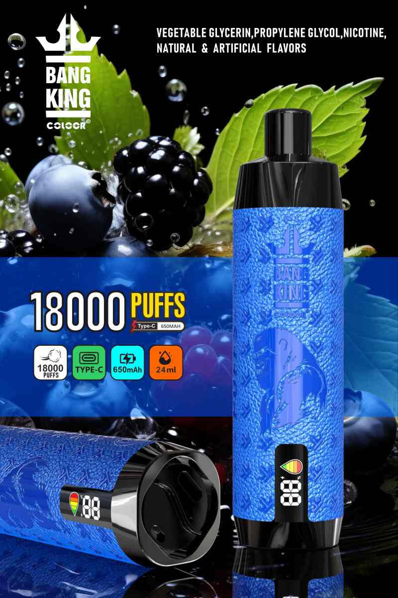 E Shisha 24ml E Liquid Disposable Pod for Bang King 18000 Puffs Smart Screen Vaping Experience E Vapes