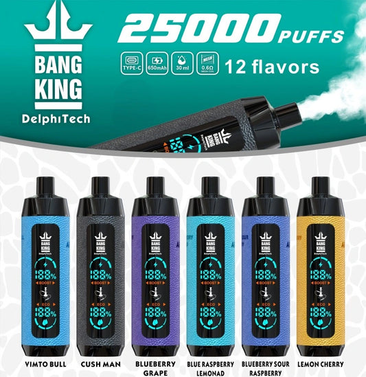BangKing 25000 E-shisha Wholesale Discount Price Best Sale-850mAh Battery, 40ml E-liquid, Multiple Nicotine 12 Flavors