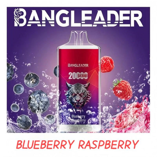 BANGLEADER 20000 PUFFS Crystal Vape Discount Sale Bulk Price