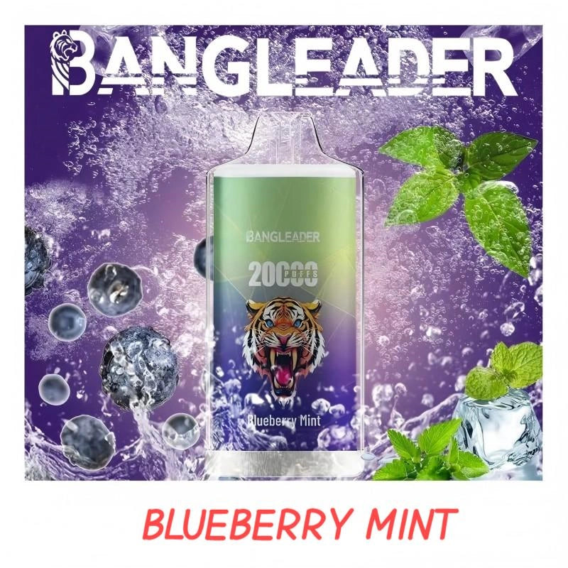 BANGLEADER 20000 PUFFS Crystal Vape Discount Sale Bulk Price-650mAh Battery,28ml E-liquid, Multiple Nicotine 12 Flavors
