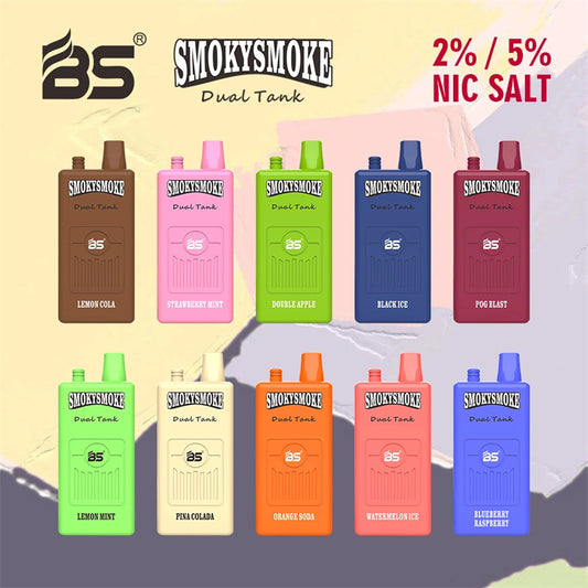 2024 Innovative Electronic Cigarette BS Smokysm 16000 Puff Dual Mesh Coil Disposable Vape