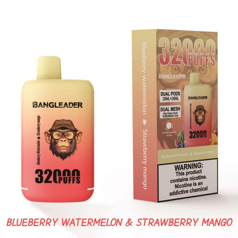 BANGLEADER 32000 PUFFS DUAL FLAVORS Vape Good Sale Discount Price-650mAh Battery, 28ml E-liquid, Multiple Nicotine 12 Flavors