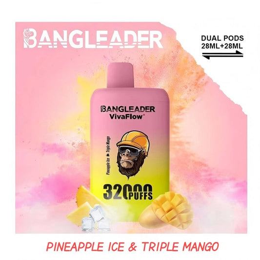 BANGLEADER 32000 PUFFS DUAL FLAVORS Vape Good Sale Discount Price-650mAh Battery, 28ml E-liquid, Multiple Nicotine 12 Flavors