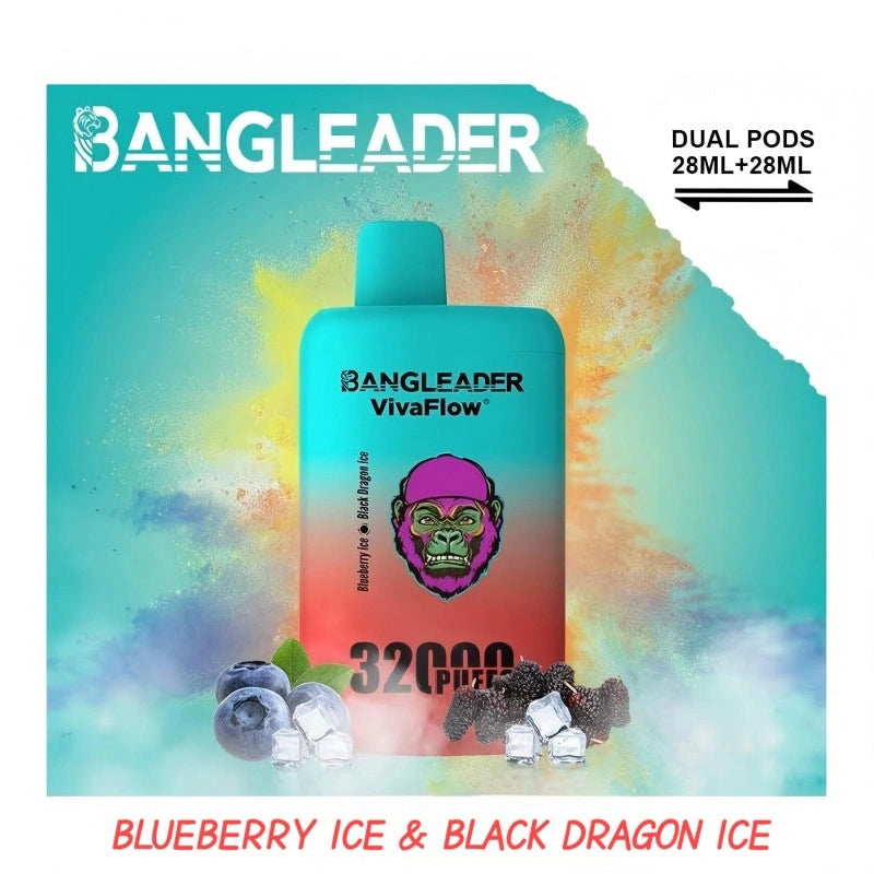 BANGLEADER 32000 PUFFS DUAL FLAVORS Vape Good Sale Discount Price-650mAh Battery, 28ml E-liquid, Multiple Nicotine 12 Flavors