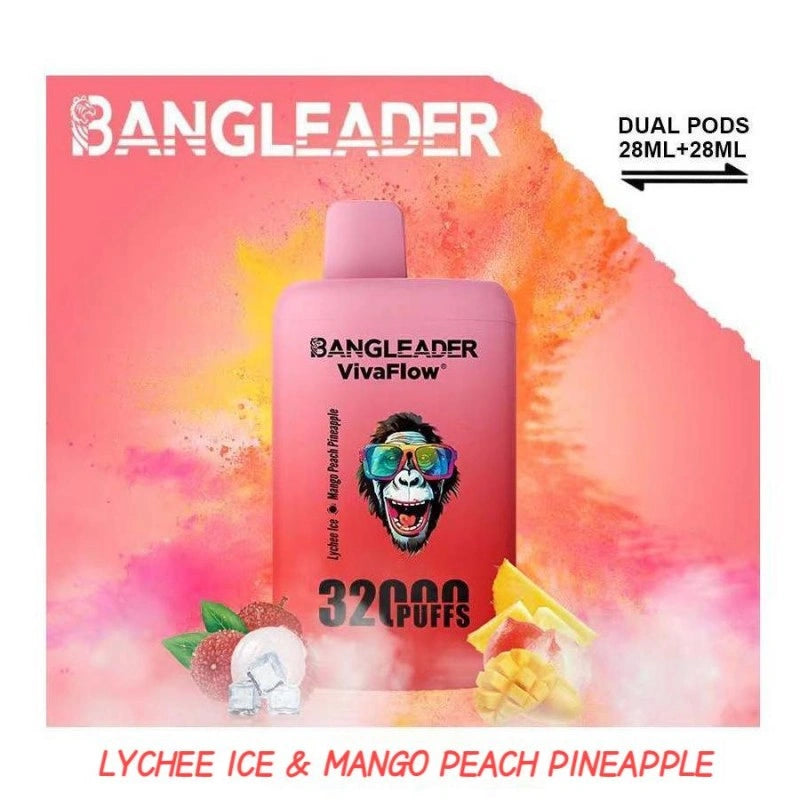 BANGLEADER 32000 PUFFS DUAL FLAVORS Vape Good Sale Discount Price-650mAh Battery, 28ml E-liquid, Multiple Nicotine 12 Flavors