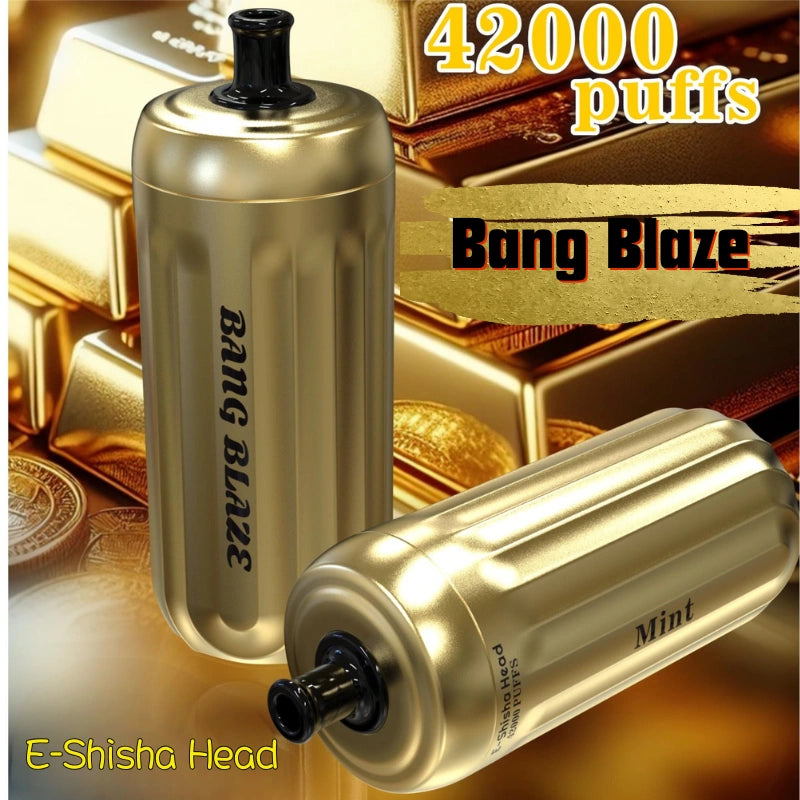 Bang Blaze 42000 Puffs Vape Best Seller Bulk Price-1000mAh Battery, 30ml E-liquid, Multiple Nicotine 14 Flavors
