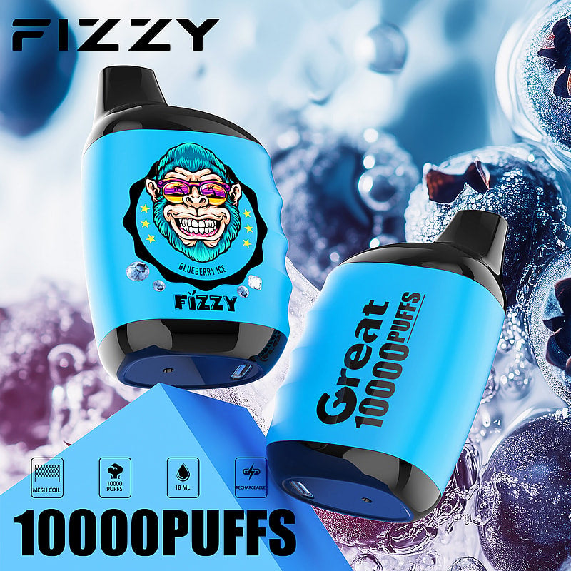 FIZZY Great – Compact 10K Puffs Disposable Vape | Mesh Coil & 18ML E-Liquid