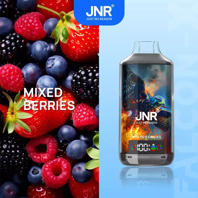 JNR 18000 18k Puffs Falcon X Vape Wholesale Price France Belgium Netherlands-950mAh Battery, 24ml E-liquid, Multiple Nicotine 28 Flavors