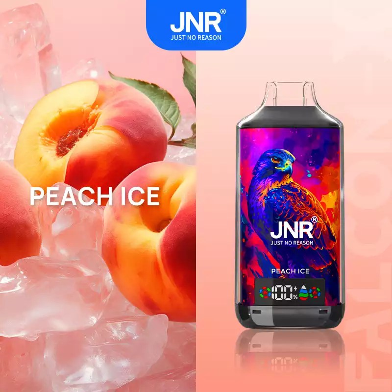 JNR 18000 18k Puffs Falcon X Vape Wholesale Price France Belgium Netherlands-950mAh Battery, 24ml E-liquid, Multiple Nicotine 28 Flavors