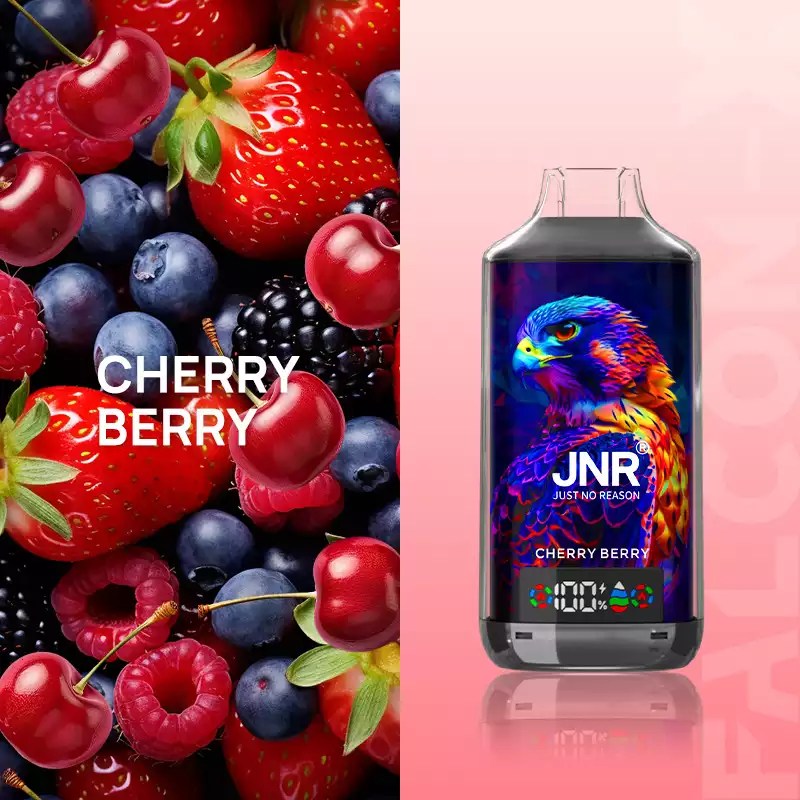 JNR 18000 18k Puffs Falcon X Vape Wholesale Price France Belgium Netherlands-950mAh Battery, 24ml E-liquid, Multiple Nicotine 28 Flavors
