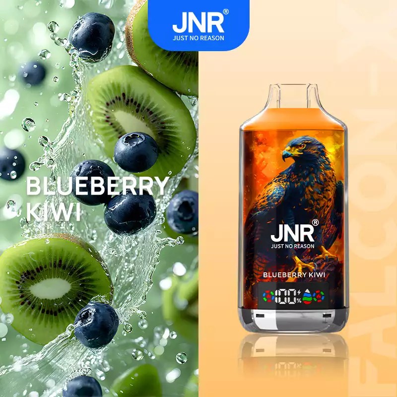 JNR 18000 18k Puffs Falcon X Vape Wholesale Price France Belgium Netherlands-950mAh Battery, 24ml E-liquid, Multiple Nicotine 28 Flavors