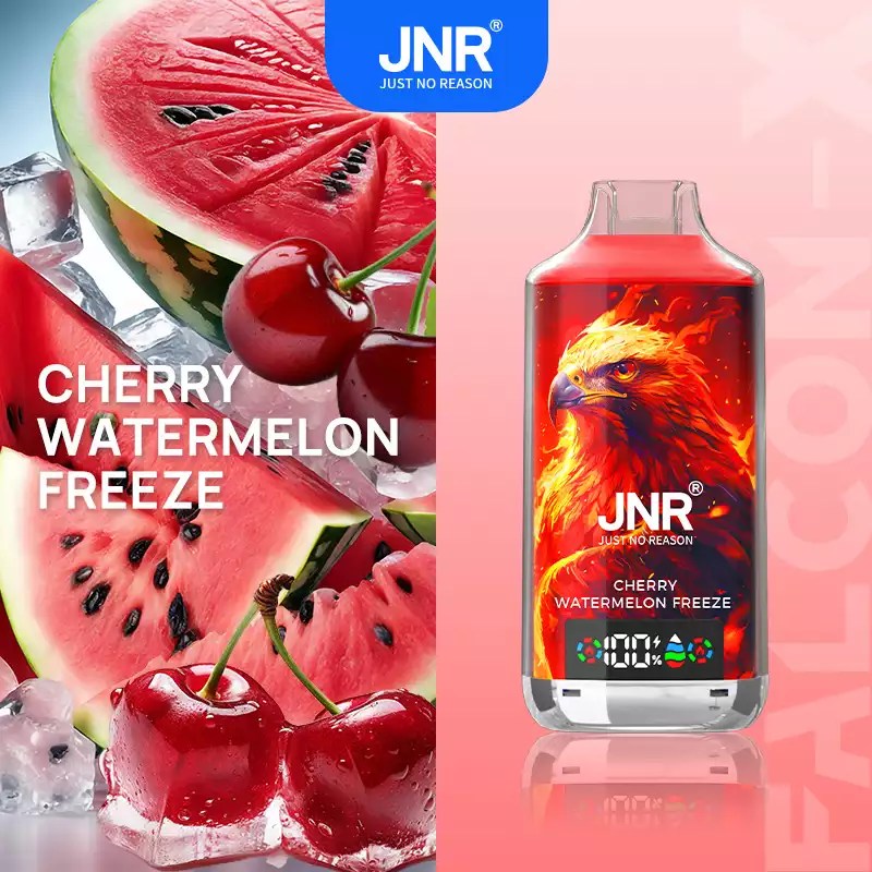 JNR 18000 18k Puffs Falcon X Vape Wholesale Price France Belgium Netherlands-950mAh Battery, 24ml E-liquid, Multiple Nicotine 28 Flavors