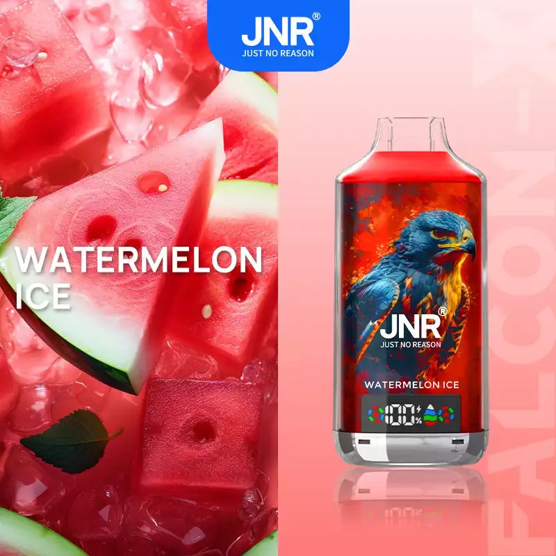 JNR 18000 18k Puffs Falcon X Vape Wholesale Price France Belgium Netherlands-950mAh Battery, 24ml E-liquid, Multiple Nicotine 28 Flavors