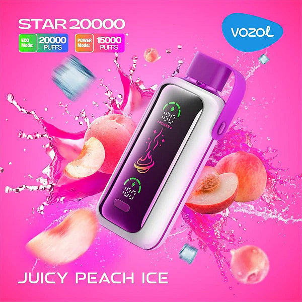 Vozol Star 20K Puffs Disposable Vape | 5% nicotine 24mL Liquid CapacityDual Power Mode with Mirror Screen  650mAh battery 21 flavors