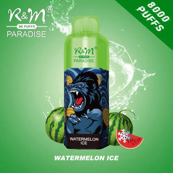 R&M Paradise 8000 puffs 0% 2% 3% 5% Nicotine Rechargeable Disposable vape