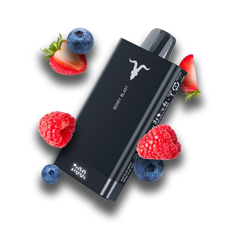 IGNITE V150 – 15K Puffs Disposable Vape | 5% Nicotine