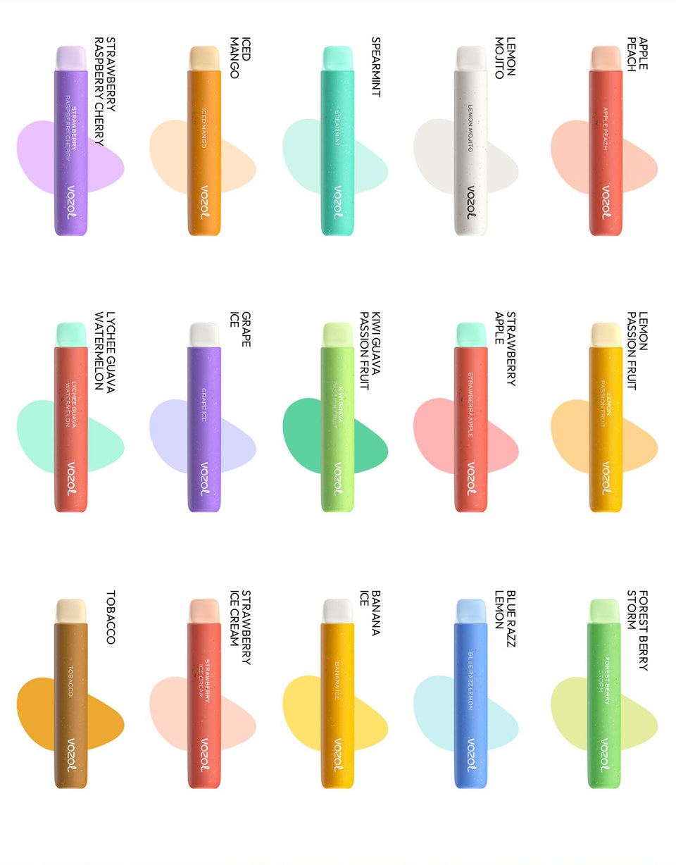 Vozol Star 600 puffs Bundle Disposable Vape Kit 20mg Nicotine 550mAh battery 15 Flavors