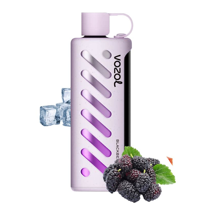 Vozol Gear Shisha 25000 Puffs Disposable Vape-1000mAh Battery, Multiple Nicotine 10 Flavors