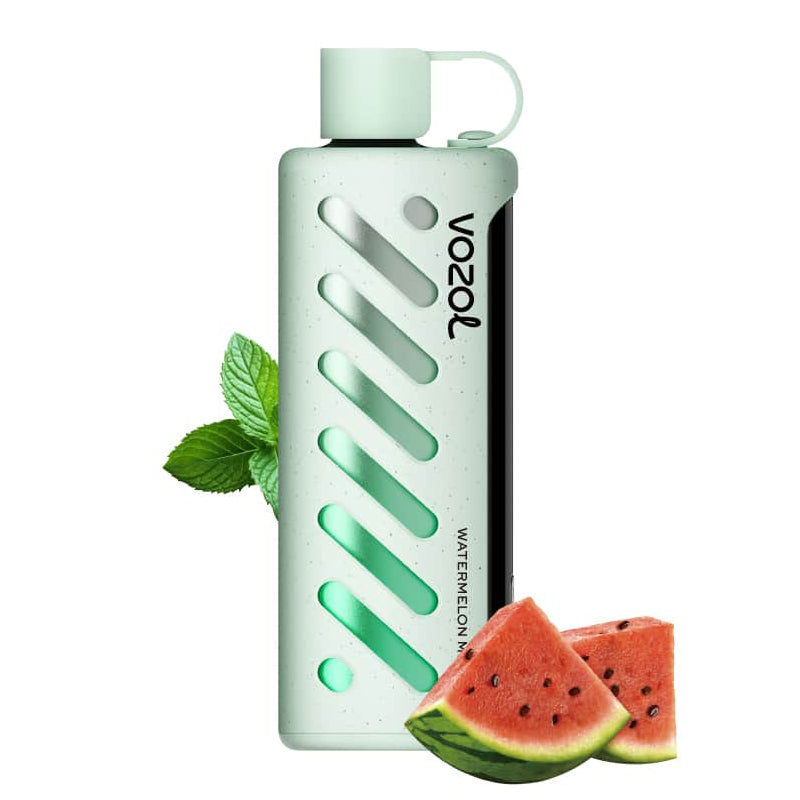 Vozol Gear Shisha 25000 Puffs Disposable Vape-1000mAh Battery, Multiple Nicotine 10 Flavors