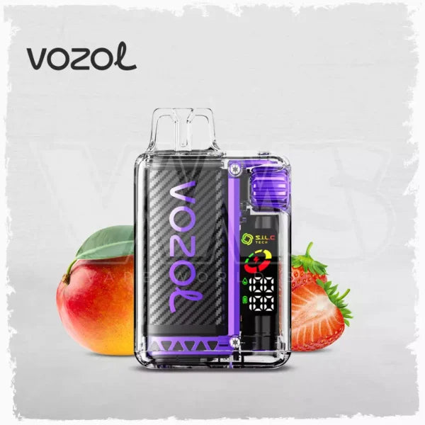 Vozol Vista 20000 puff Disposable Vape Wholesale 650 mAh 22 ML 14 Flavors