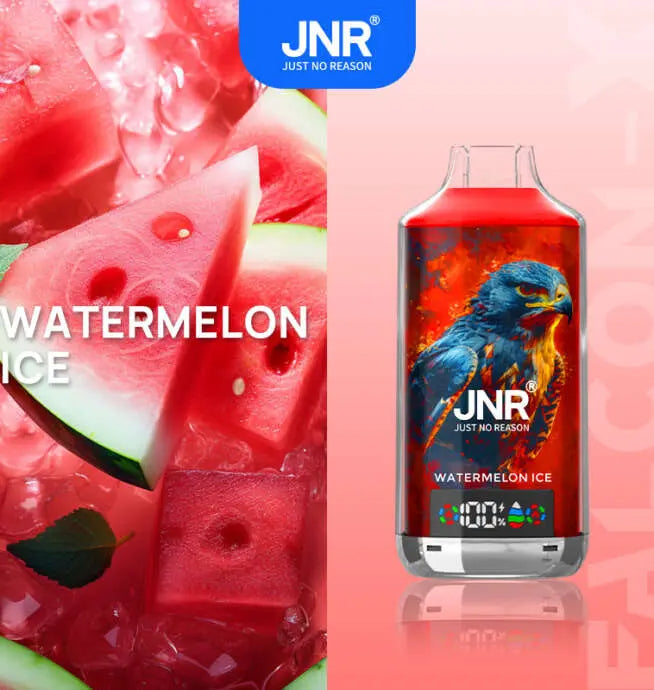 JNR Falcon X 18000 (0/2/5% Nic) | 0.6Ω Mesh Coil-Disposable Vape 18000 Puffs -950mAh Battery, 24ml E-liquid, Multiple Nicotine 11 Flavors