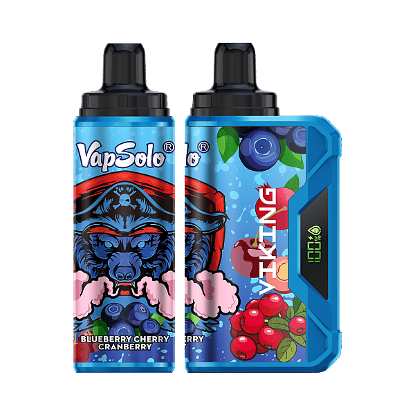 VapSolo Viking 12K Puffs Disposable Vape | Ajustable Airflow,LCD Display,Type-C port