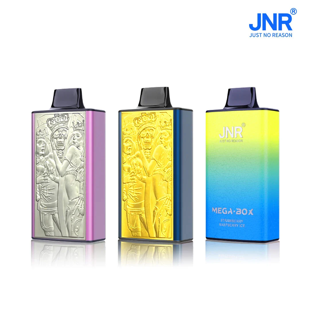 JNR Mega Box 25000 Puffs Disposable Vape (Box of 10) 20 Flavors