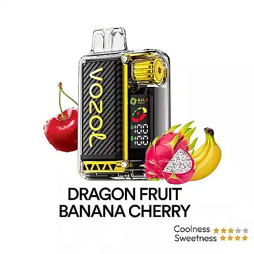 Vozol Vista 20K Puffs Disposable Vape | Dual Mesh with LED Digital Screen 20mL e-liquid 650mAh battery 17 unique flavors