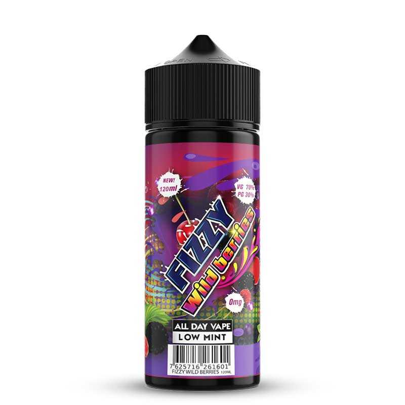 FIZZY Wild Berries - E-liquide 100ml