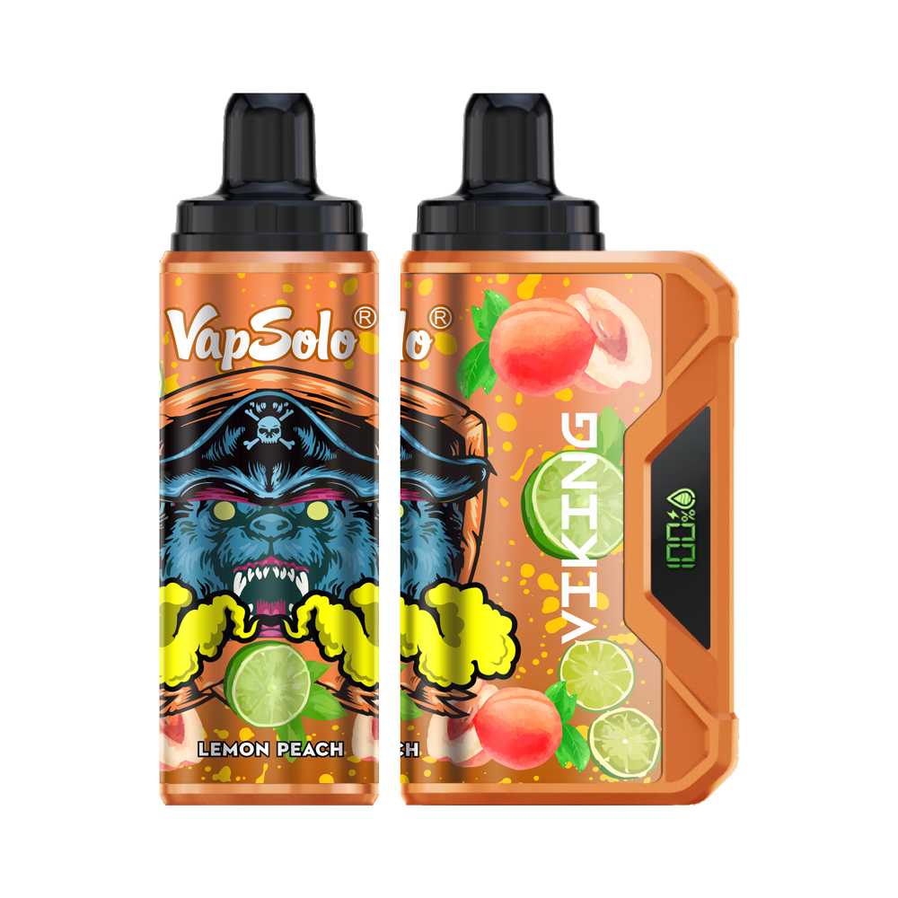 VapSolo Viking 12K Puffs Disposable Vape | Ajustable Airflow,LCD Display,Type-C port