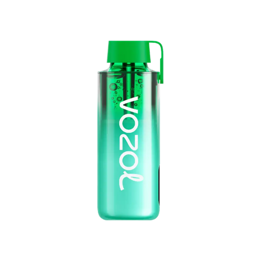 Vozol Neon 10000 - Miami Mint