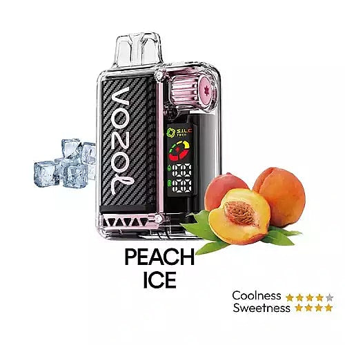 Vozol Vista 20K Puffs Disposable Vape | Dual Mesh with LED Digital Screen 20mL e-liquid 650mAh battery 17 unique flavors