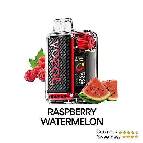 Vozol Vista 20K Puffs Disposable Vape | Dual Mesh with LED Digital Screen 20mL e-liquid 650mAh battery 17 unique flavors