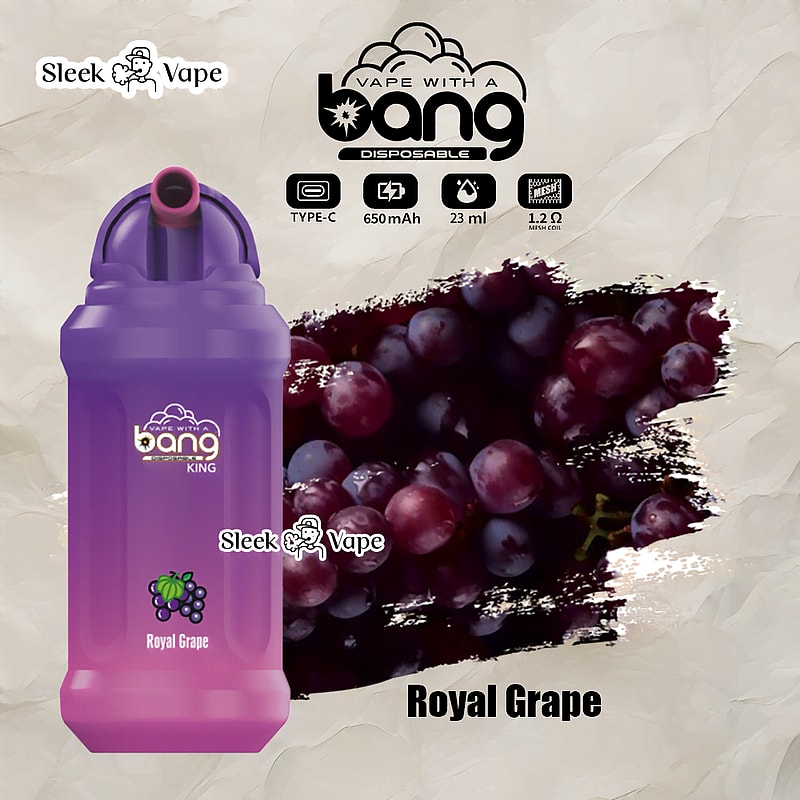 Bang King 12000 Puffs Disposable Vape(0% to 5% Nicotine)- 23ml E-Liquid, 850mAh Battery 20 Flavors
