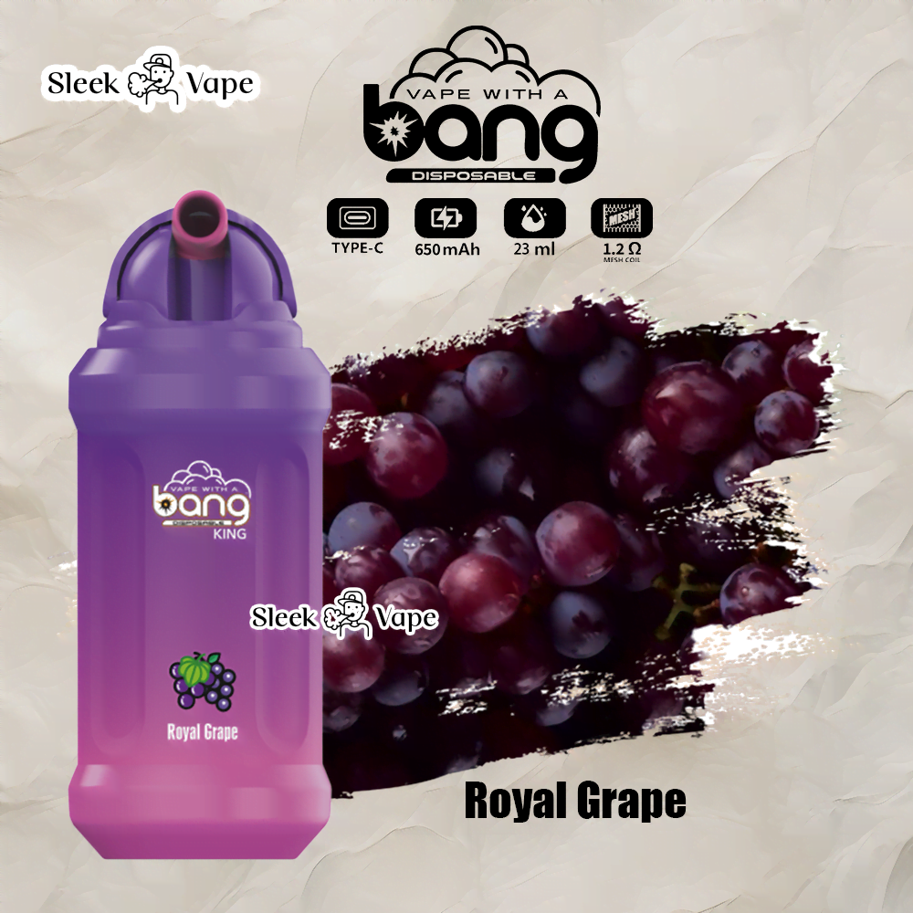 Bang King 12000 Puffs Disposable Vape(0% to 5% Nicotine)- 23ml E-Liquid, 850mAh Battery 20 Flavors
