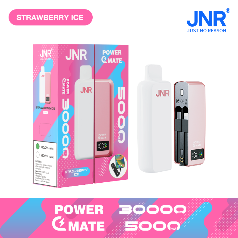 JNR Power Mate 30000 Puffs Smart Screen Disposable Vape & Power Bank – Dual Functionality Redefined-5000mAh Battery, 19ml E-liquid, Multiple Nicotine 10 Flavors