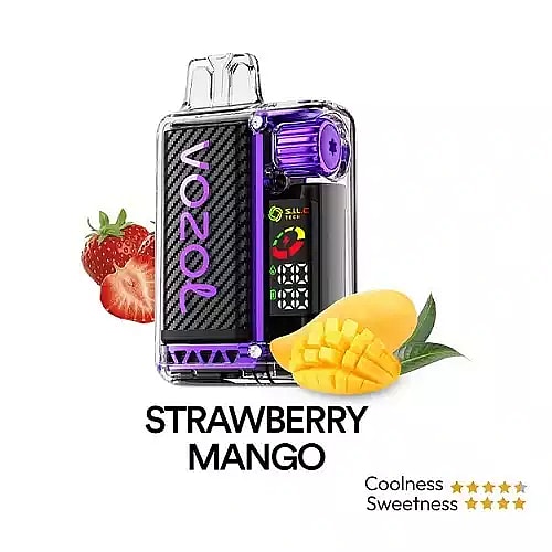Vozol Vista 20K Puffs Disposable Vape | Dual Mesh with LED Digital Screen 20mL e-liquid 650mAh battery 17 unique flavors